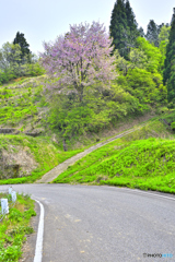 棚田を結ぶ坂道