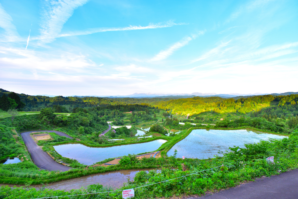 星峠の棚田