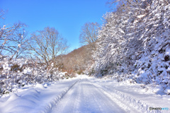 雪道