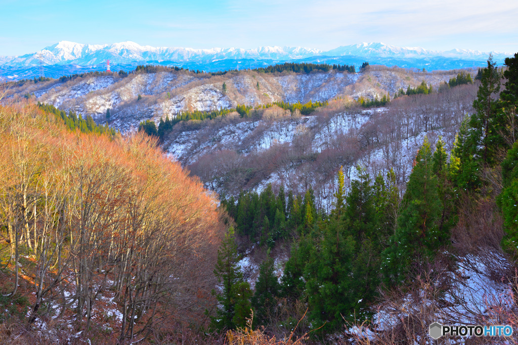 雪景色