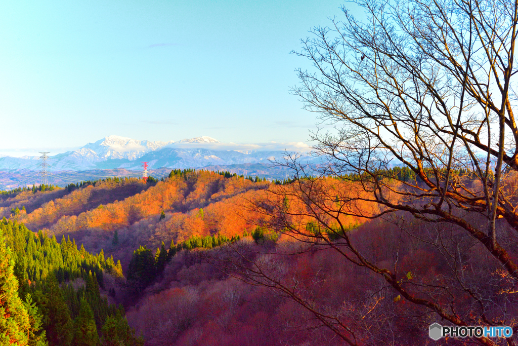 落葉と越後三山
