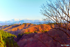 落葉と越後三山