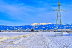 越後三山を望む雪原