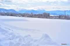 例年通りの雪景色