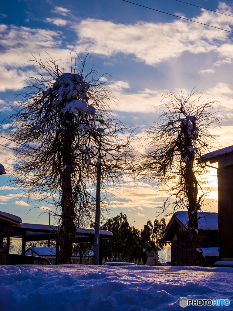 大雪警報翌日の空