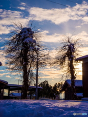 大雪警報翌日の空