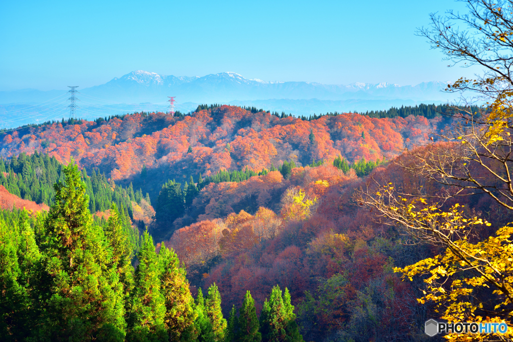 越後三山と落葉