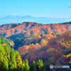 越後三山と落葉