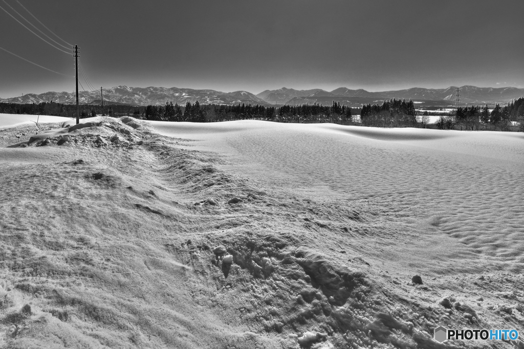 雪原