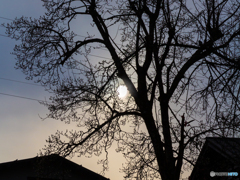 冬の太陽