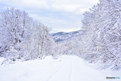 雪道