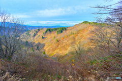 枯れ山