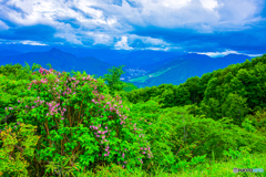 山の向こうは梅雨