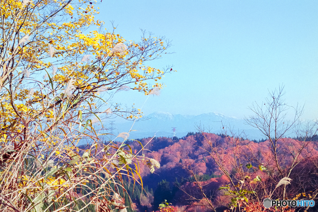 暖かな晩秋の午後