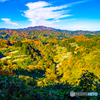 里山集落の紅葉と棚田