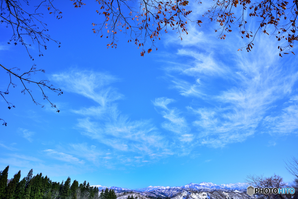 雪山と青空と落葉