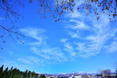 雪山と青空と落葉