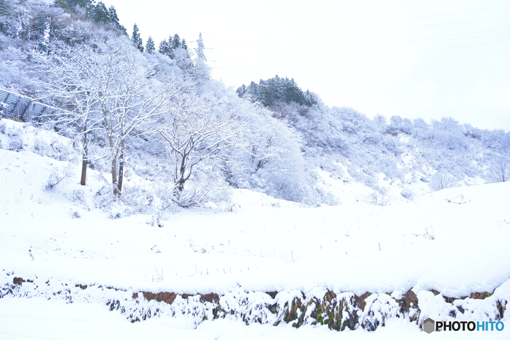 雪景色