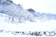 雪景色