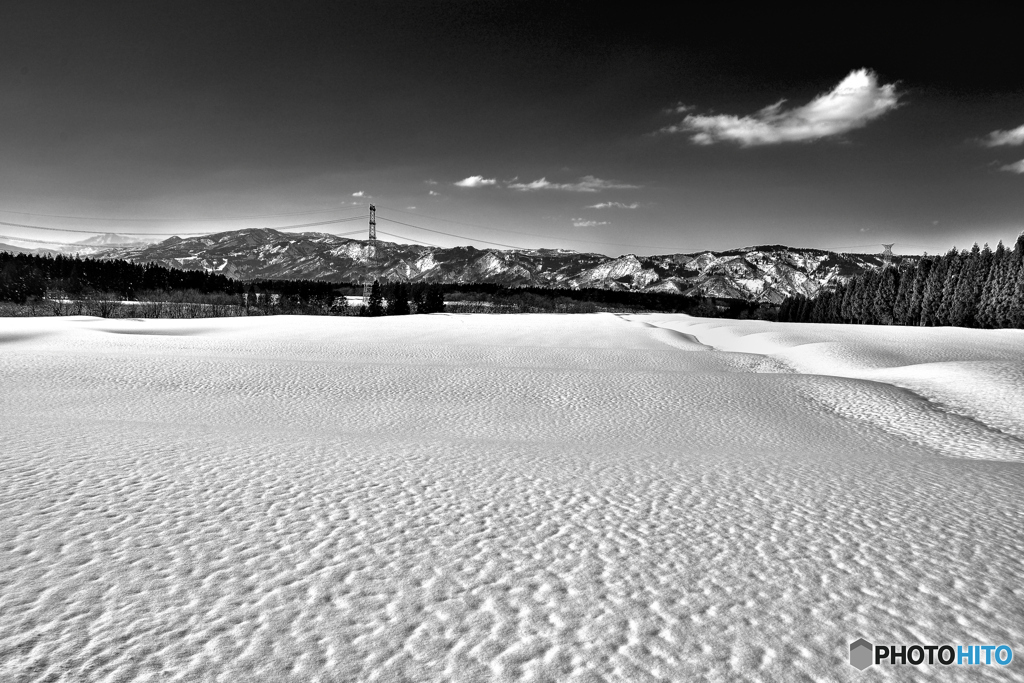 雪原