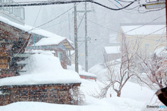ふつうの雪の日