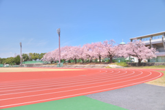 桜街道のトラック