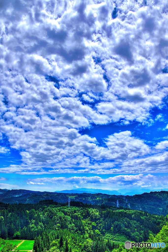 夏の雲