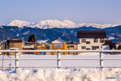 冬の穏やかな日