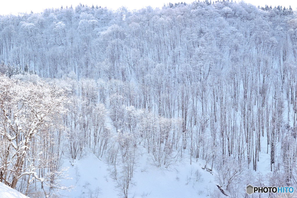 雪