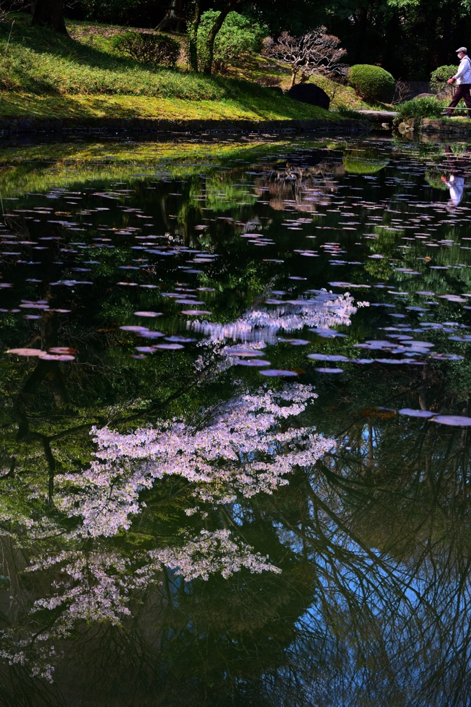 小石川後楽園