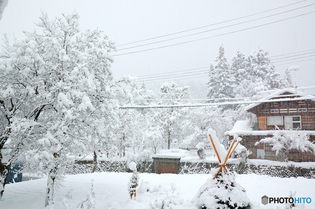 一夜にして雪景色