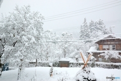 一夜にして雪景色
