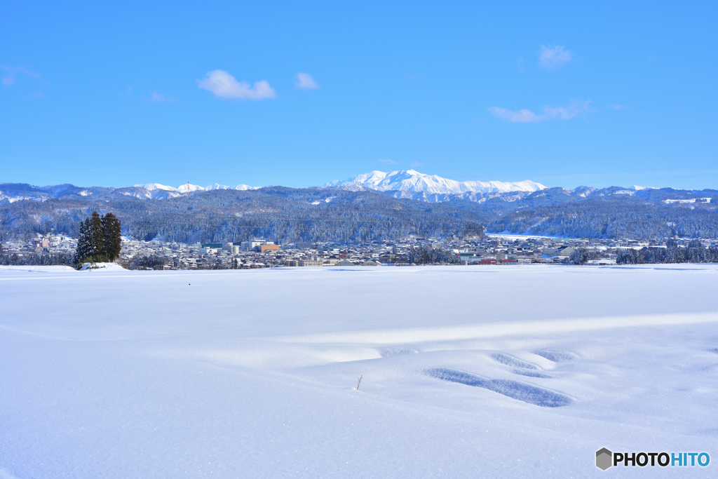 雪に覆われた田んぼ