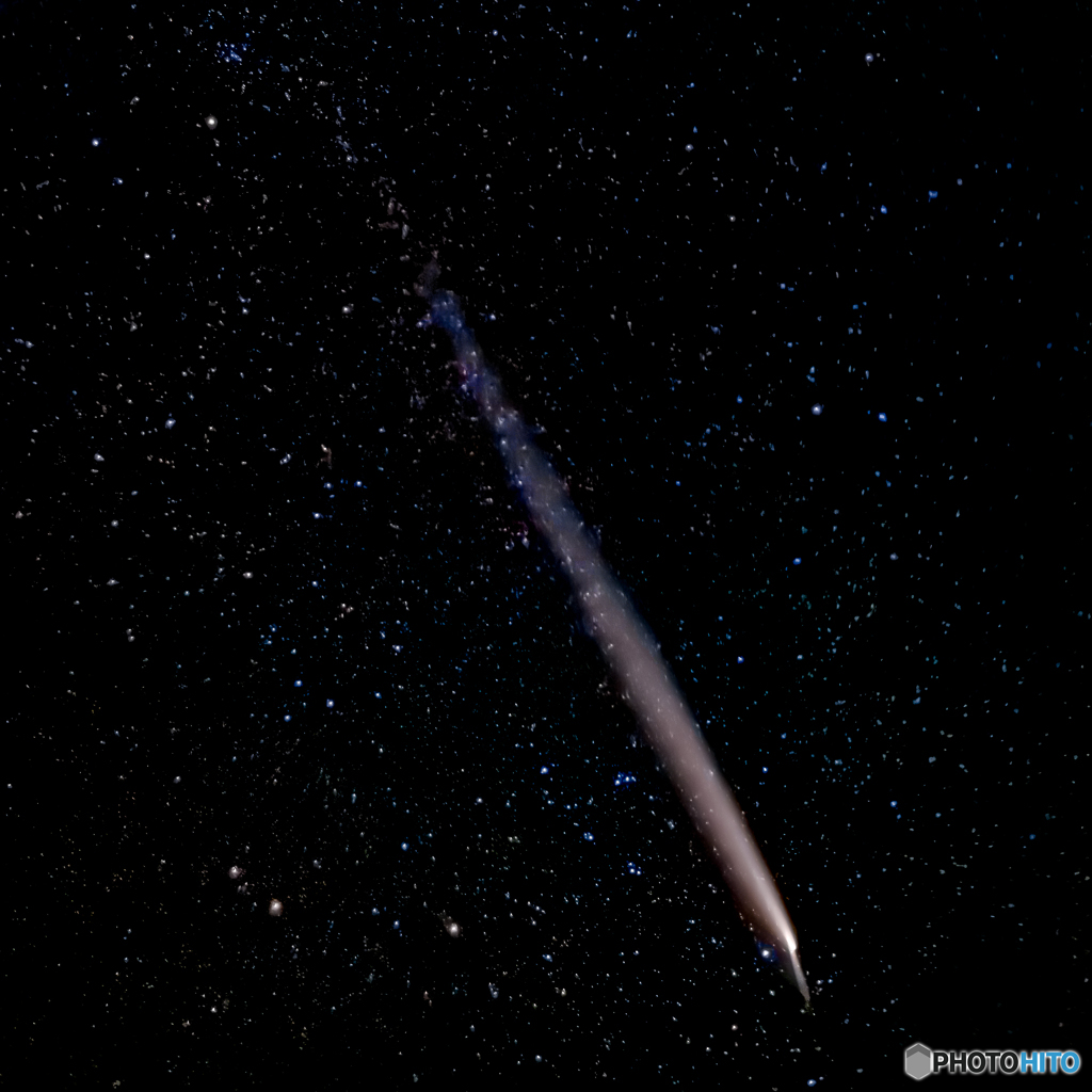 紫金山・アトラス彗星／アンチテイル