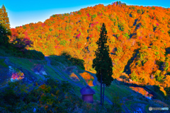 留守原の棚田からの紅葉