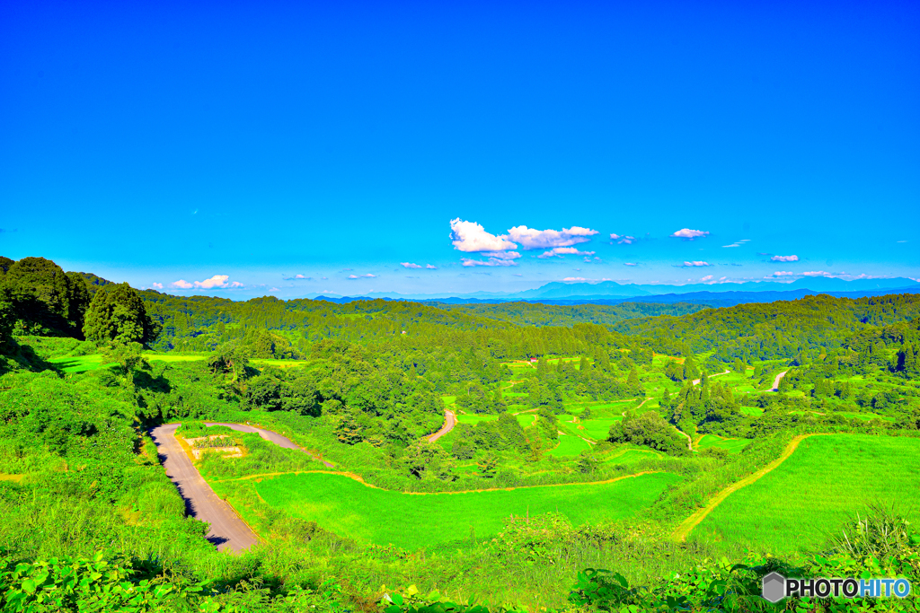 星峠の棚田