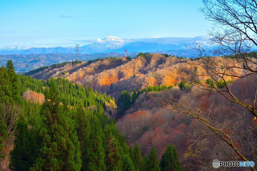 初冬の山