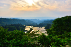 水田の夕日