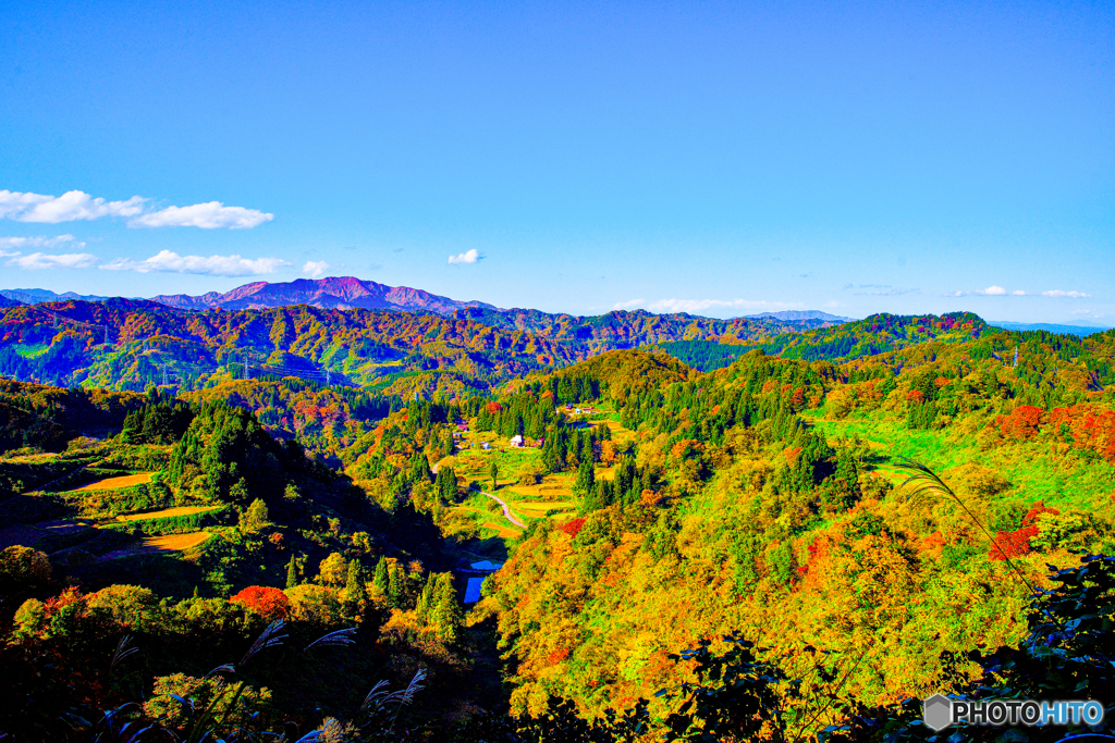 紅葉の里山