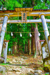 小菅神社(鳥居)