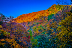 全山紅葉