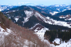春待つ山