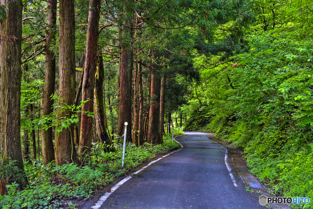 初めて通る道