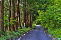 初めて通る道