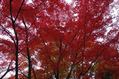 福岡市動植物園 