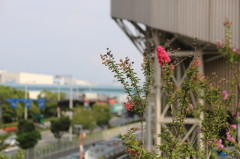 2013_08_21_0492