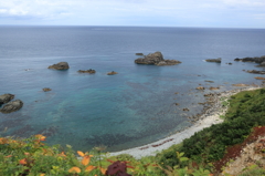 海
