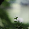 2013_08_17_0094