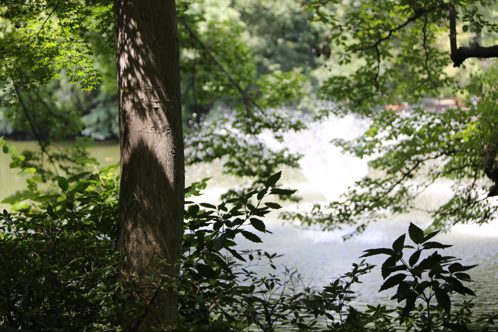 2013_08_17_0087