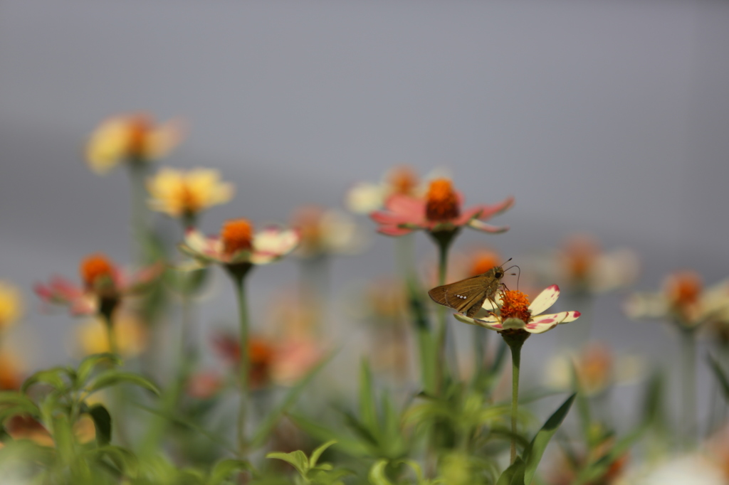 2013_08_19_0394